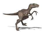 valociraptor cammina.gif